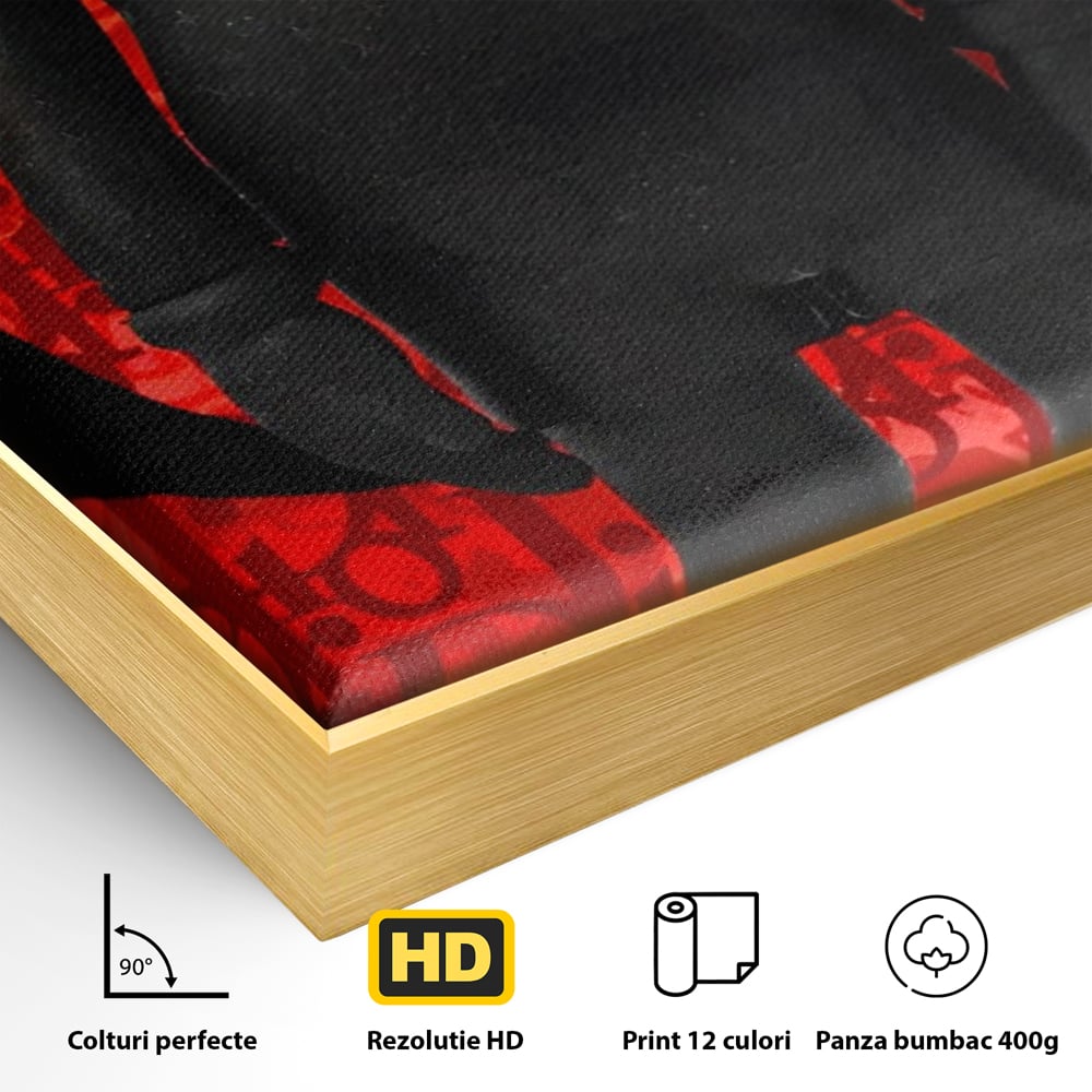 Detaliu al suprafetei: tablou canvas cu robot negru supreme, in rama de aluminiu auriu